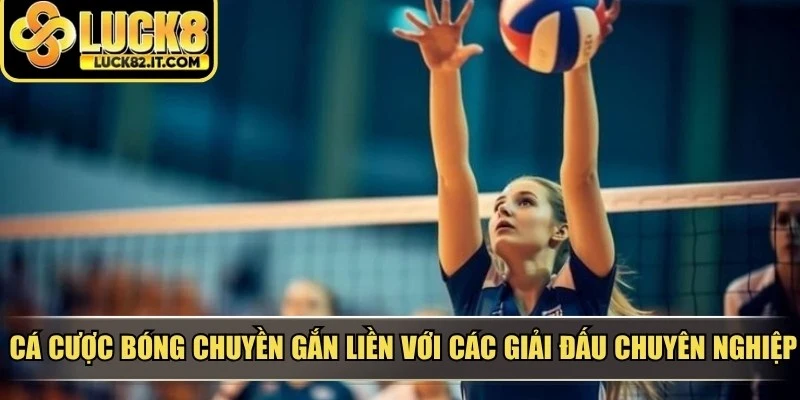 Cá cược bóng chuyền gắn liền với các giải đấu chuyên nghiệp, thú vị