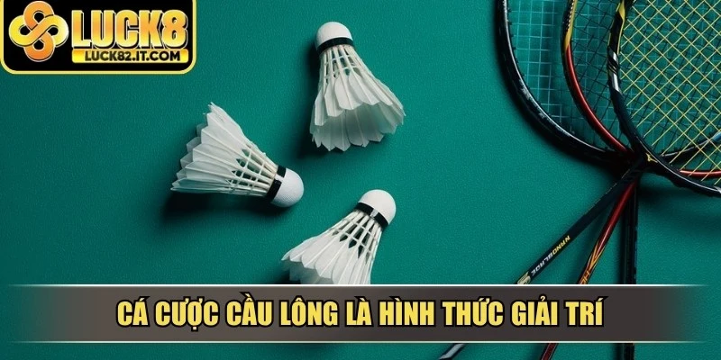 Cá cược cầu lông là hình thức giải trí gắn liền với các giải đấu trong và quốc tế