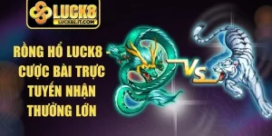 Rồng Hổ