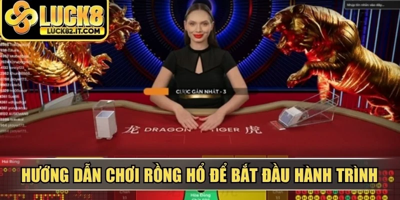 Hướng dẫn chơi rồng hổ để bắt đầu hành trình tìm kiếm vận may
